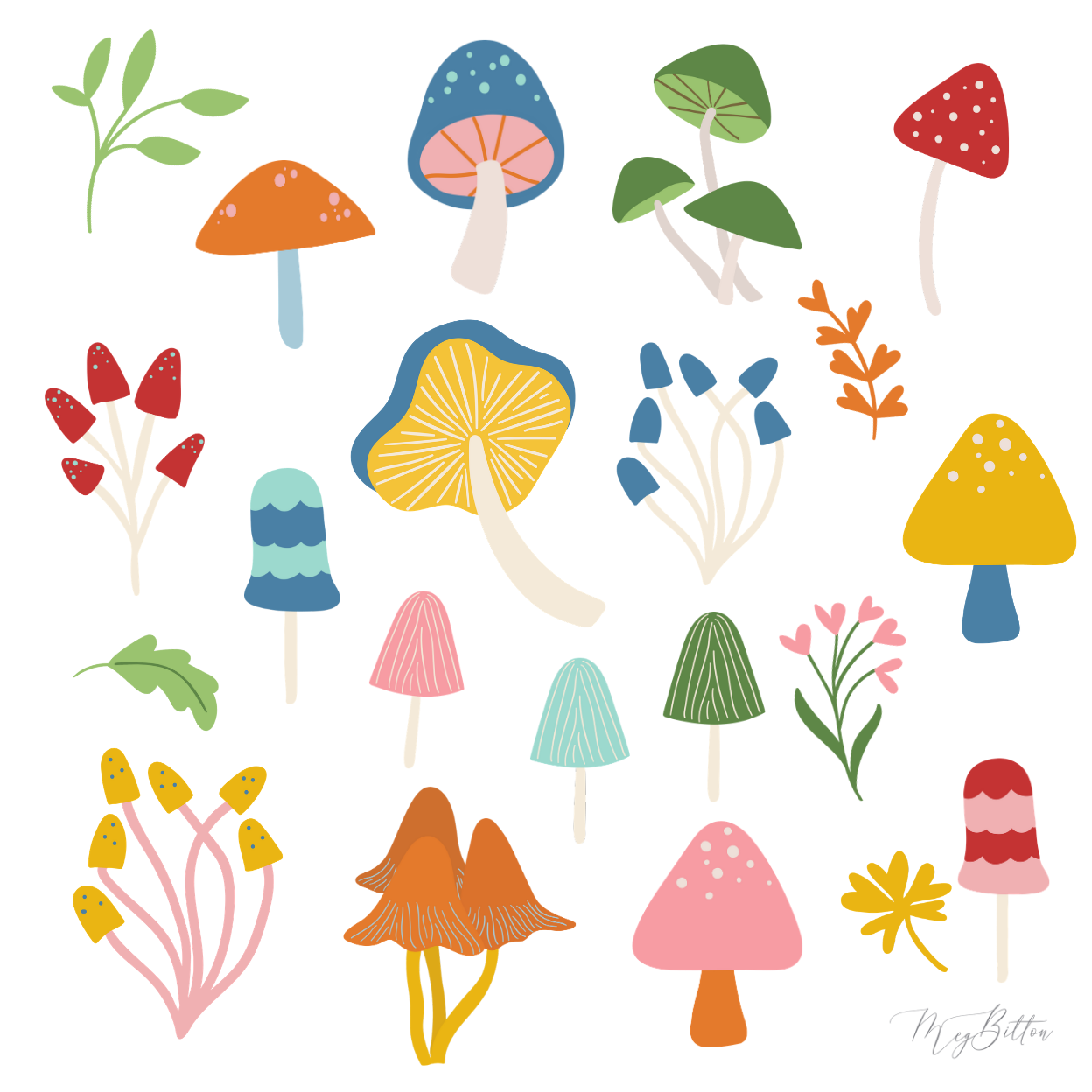 Mushrooms - Meg Bitton Productions