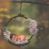 Simple Composite Creation - Adding Newborns - Meg Bitton Productions