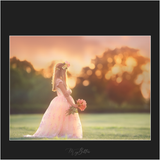 Magical Autumn Sunset Overlays - Meg Bitton Productions