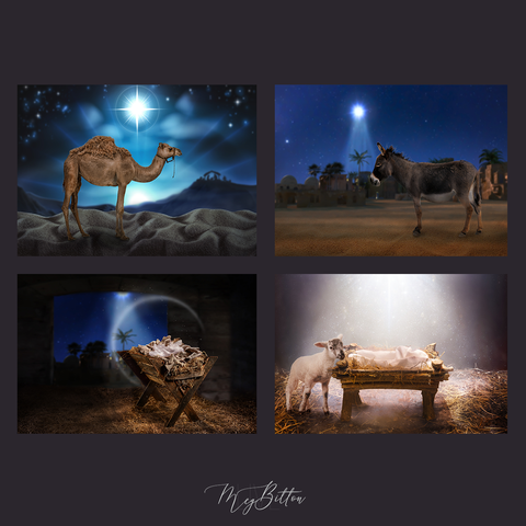 Nativity Scene Background Bundle - Meg Bitton Productions