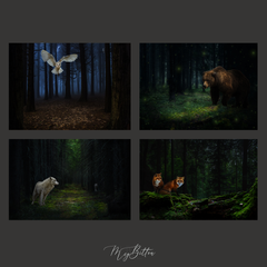 Dark Forest Digital Background Bundle - Meg Bitton Productions