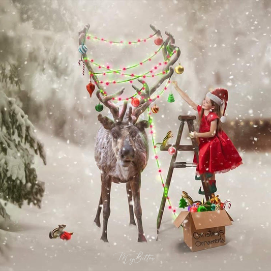 Christmas Reindeer - Meg Bitton Productions