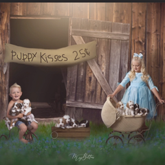 Puppy Kisses - Meg Bitton Productions