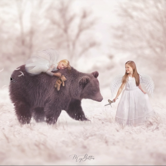Winter Bear - Meg Bitton Productions