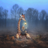 Giraffe Adventure - Meg Bitton Productions