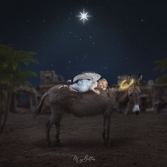 Nativity Angel - Meg Bitton Productions