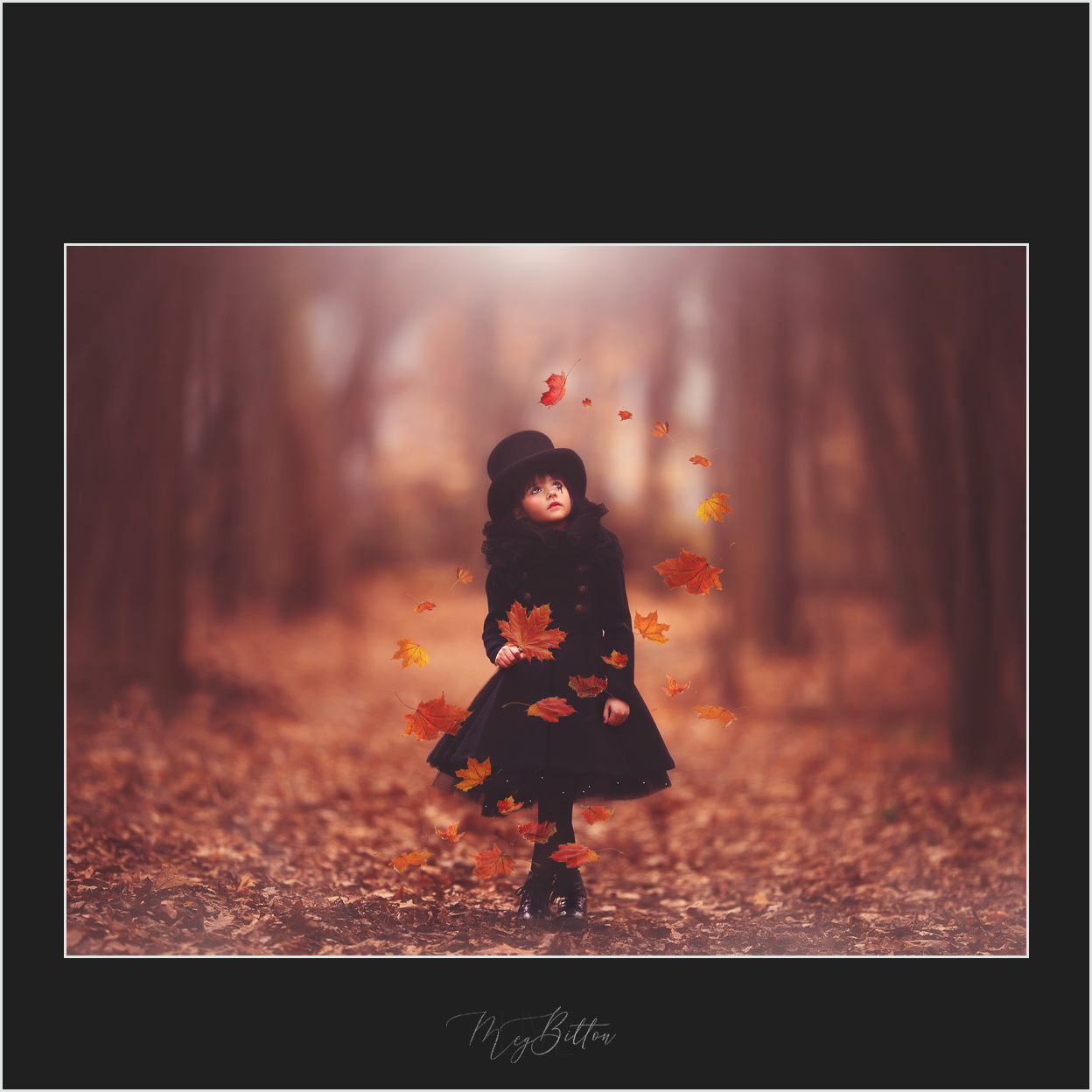 Magical Falling Leaves - Meg Bitton Productions