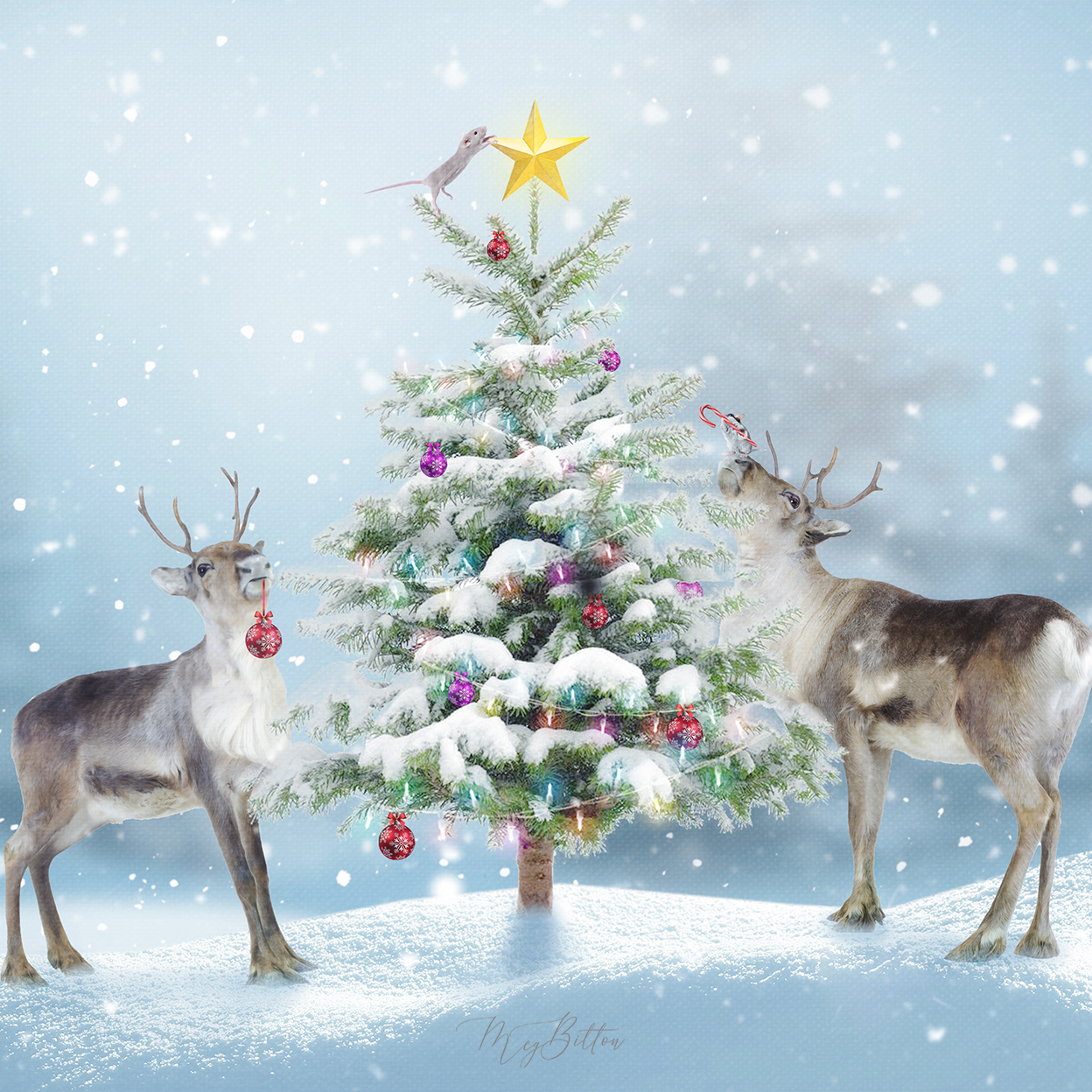 Digital Background: Santa's Helpers - Meg Bitton Productions