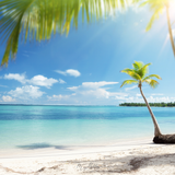 Digital Background: Caribbean Beach - Meg Bitton Productions