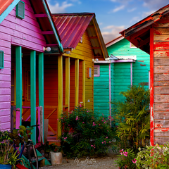 Digital Background: Colorful Cabins - Meg Bitton Productions