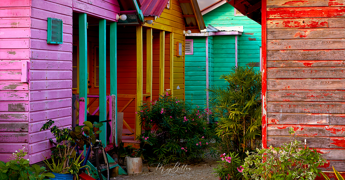 Digital Background: Colorful Cabins - Meg Bitton Productions