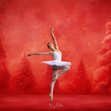 Digital Studio Backdrop: Crimson Christmas - Meg Bitton Productions