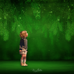 Digital Studio Backdrop: Emerald Pines - Meg Bitton Productions
