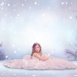 Digital Studio Backdrop: Snow Dream - Meg Bitton Productions