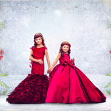 Digital Studio Backdrop: Frosted Berries - Meg Bitton Productions