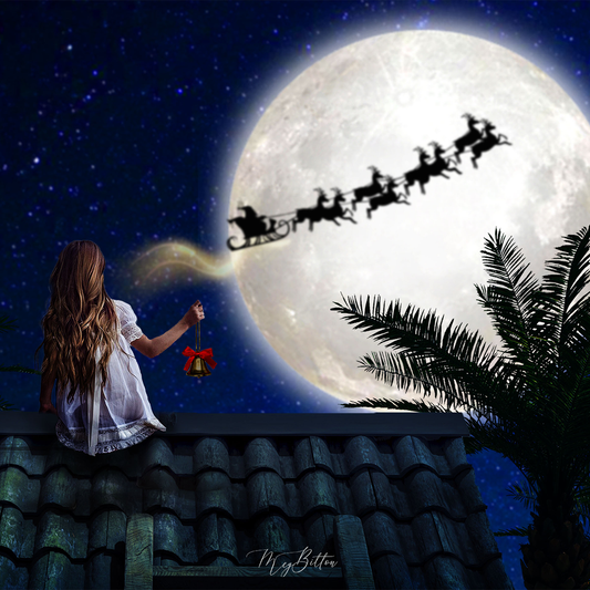 Digital Background: Down Under Rooftop Christmas - Meg Bitton Productions