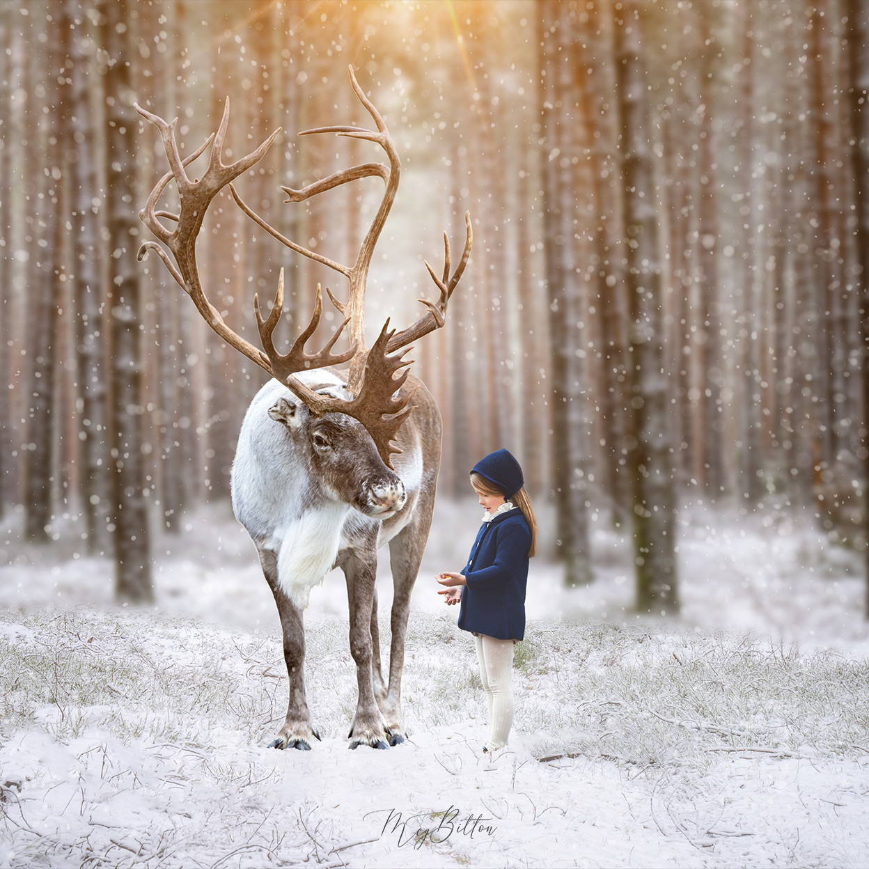Digital Background: Forest Reindeer - Meg Bitton Productions