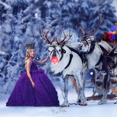 Digital Background: Reindeer Delivery