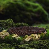 Digital Background: Mossy Nest - Meg Bitton Productions