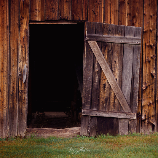 Digital Background: Open Barn Door - Meg Bitton Productions