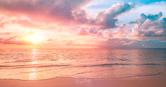 Digital Background: Pastel Sunset Beach - Meg Bitton Productions