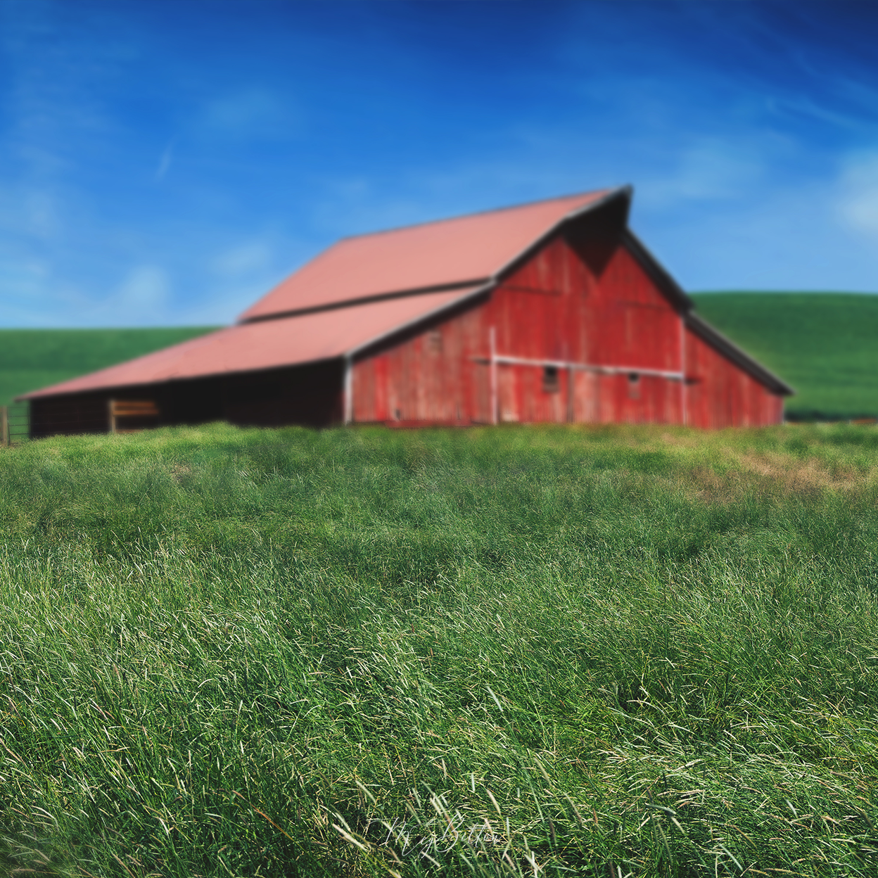 Digital Background: The Red Barn - Meg Bitton Productions
