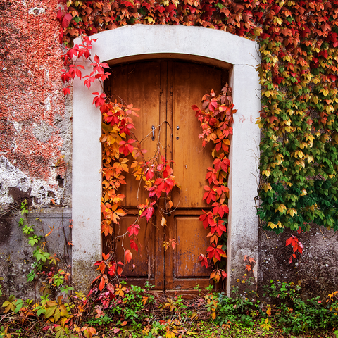 Digital Background: Rustic Autumn Door - Meg Bitton Productions