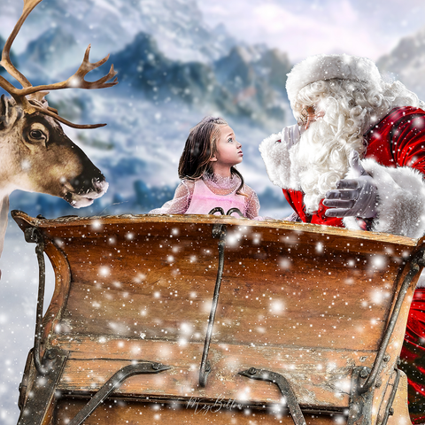 Digital Background: Santa's Sleigh Ride - Meg Bitton Productions