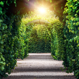 Digital Background: Secret Garden Path Gazebo - Meg Bitton Productions