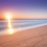 Digital Background: Soft Sunset Beach - Meg Bitton Productions