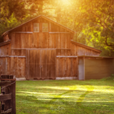 Digital Background: Summer Barn - Meg Bitton Productions