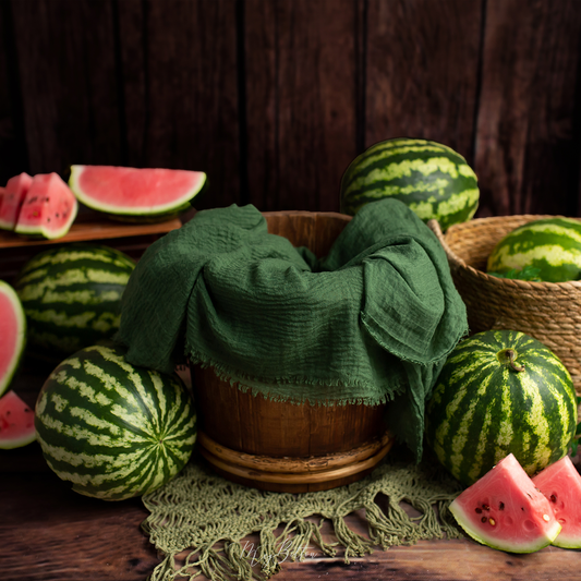Digital Background: Newborn Summer Watermelons - Meg Bitton Productions