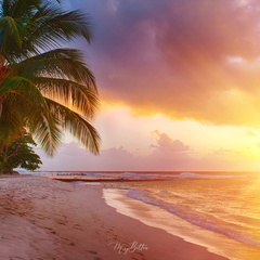 Digital Background: Sunset Beach - Meg Bitton Productions