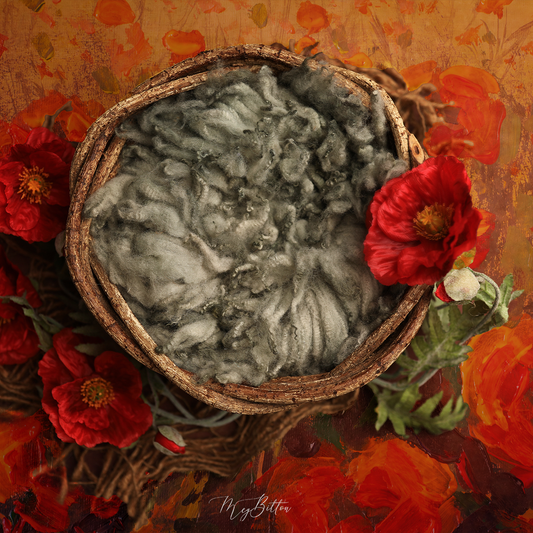 Digital Background: Newborn Sweet Poppies - Meg Bitton Productions