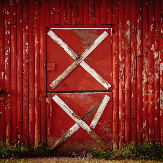 Digital Background: Red Barn Doors - Meg Bitton Productions