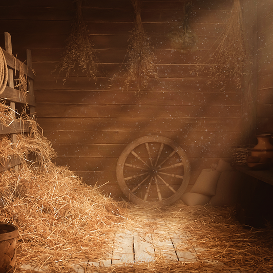 Digital Background: Warm Dusty Barn - Meg Bitton Productions