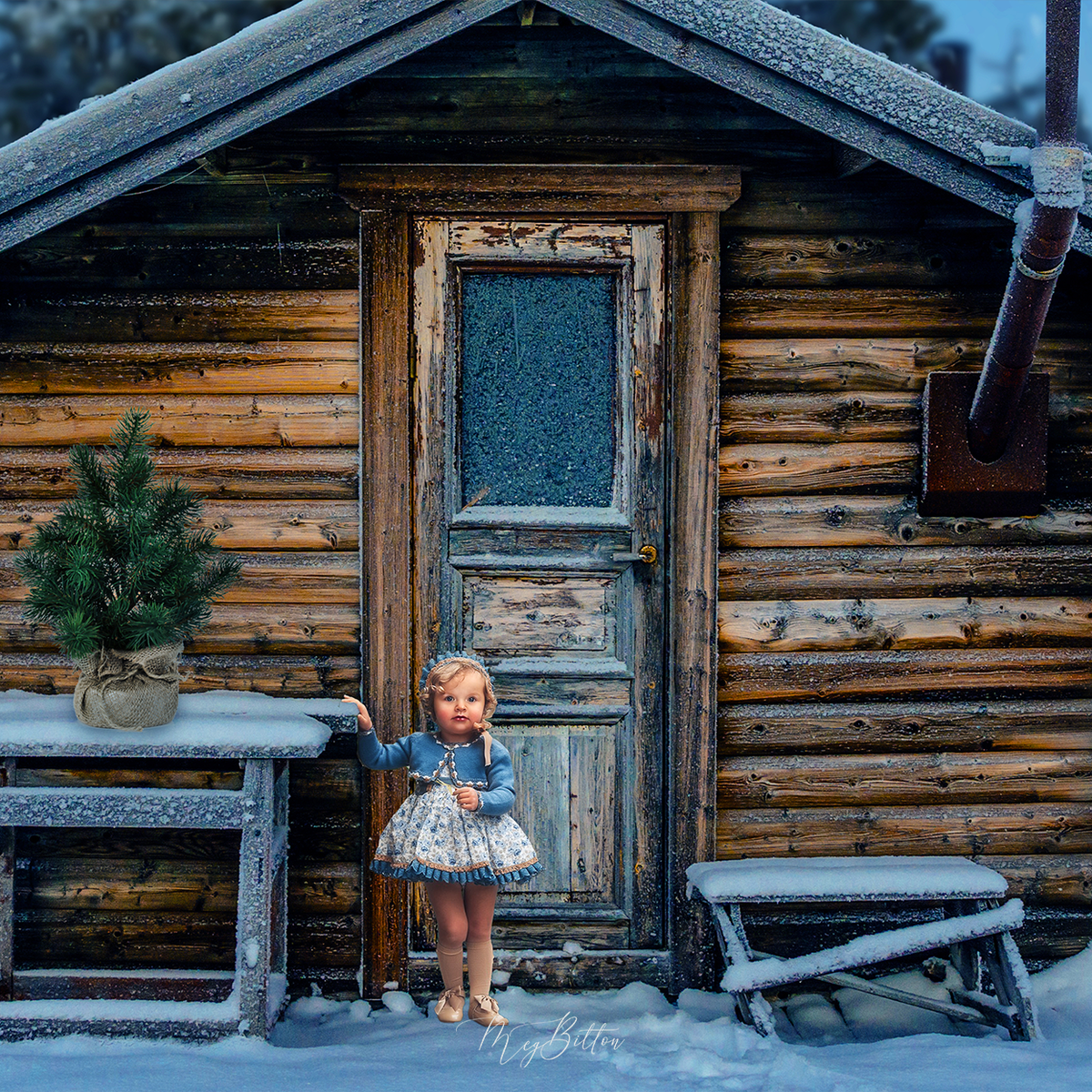 Digital Background: Winter Cabin - Meg Bitton Productions