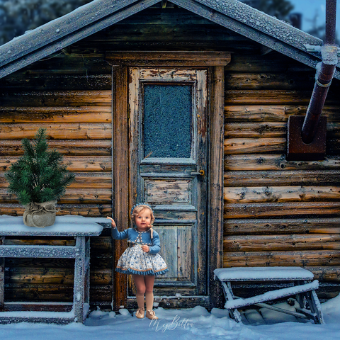 Digital Background: Winter Cabin - Meg Bitton Productions