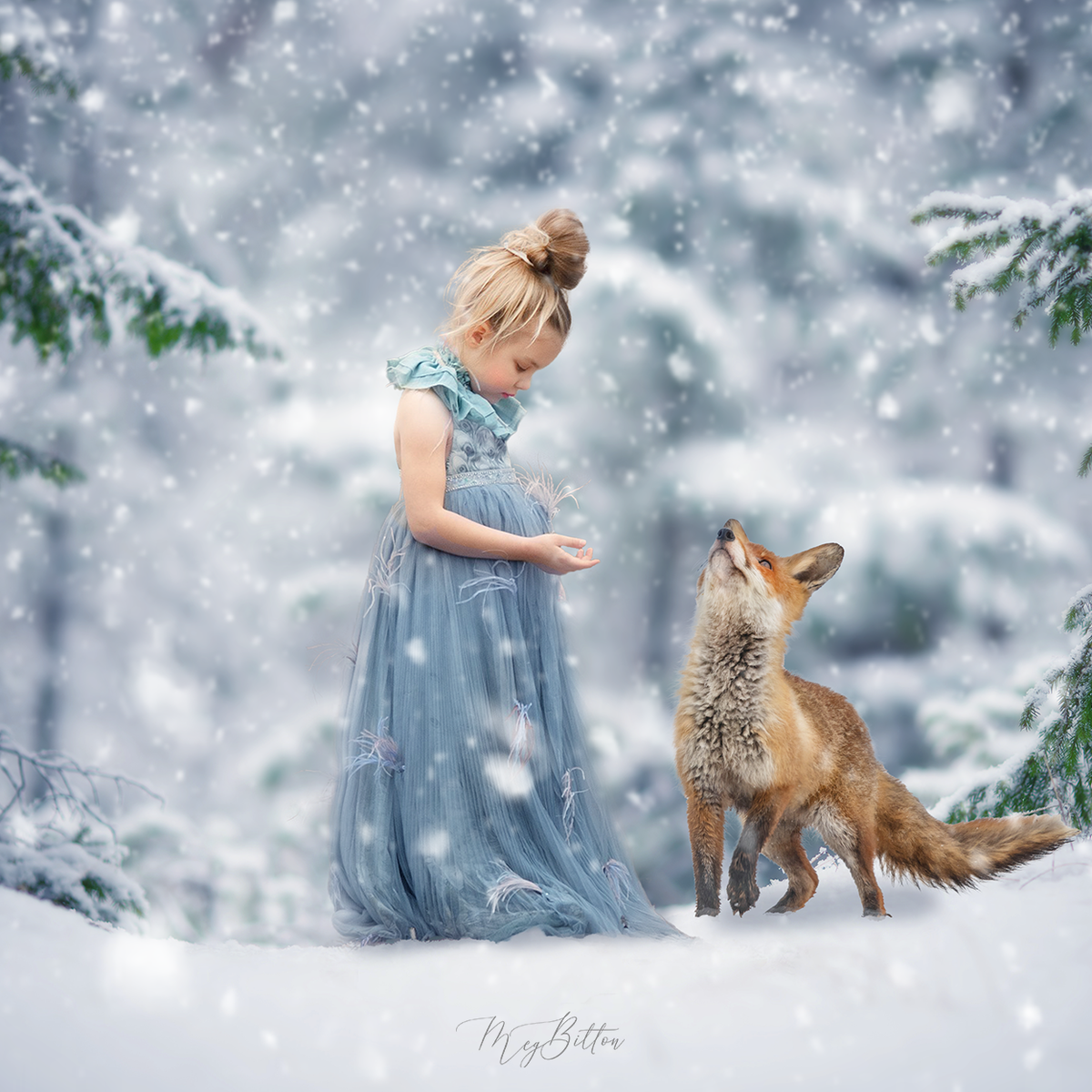 Digital Background: Winter Fox - Meg Bitton Productions