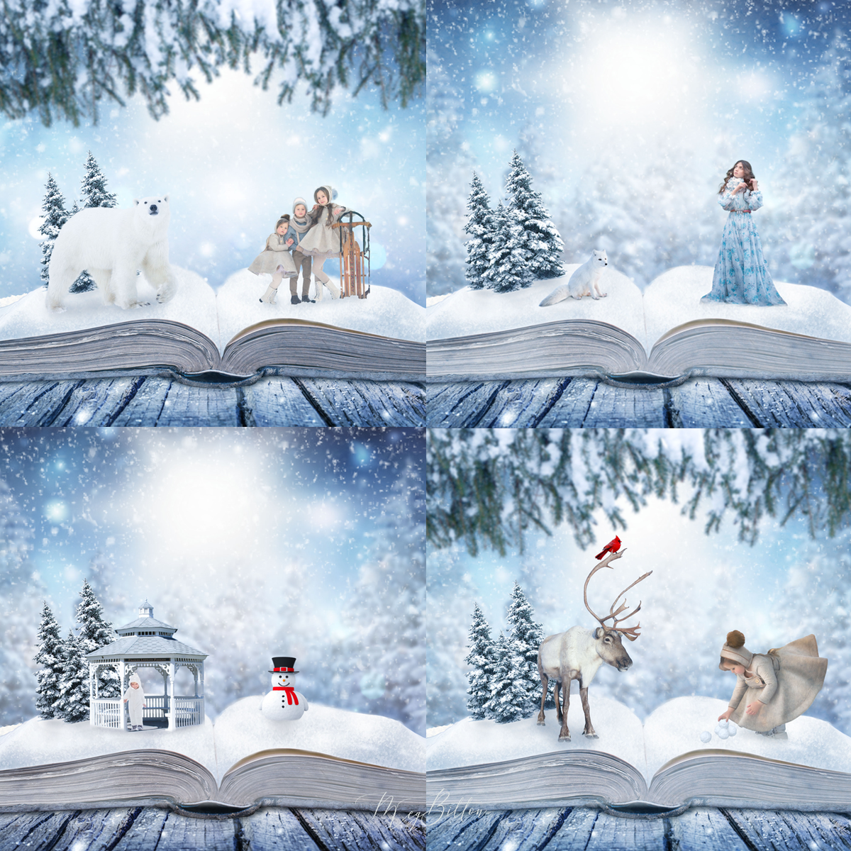 Winter Wonderland Pop Up Book - Meg Bitton Productions