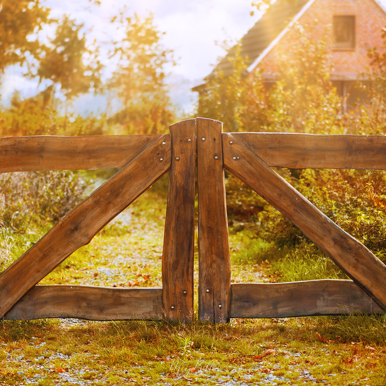 Digital Background: Wooden Autumn Fence