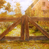 Digital Background: Wooden Autumn Fence - Meg Bitton Productions