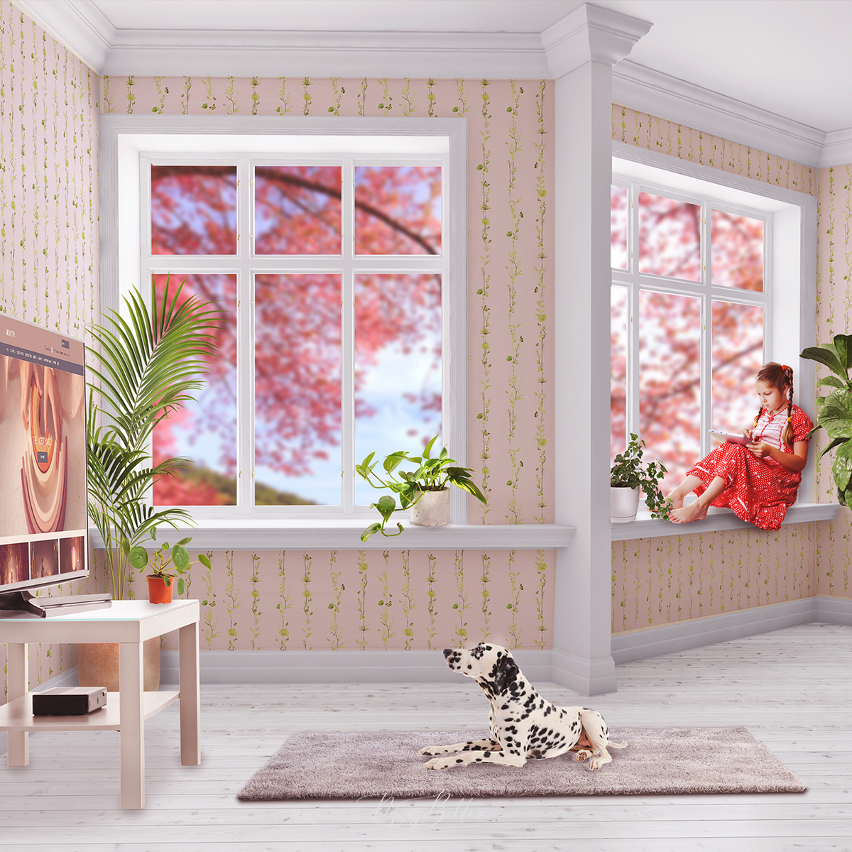 Building a Room: The Dalmatian's Spot - Meg Bitton Productions