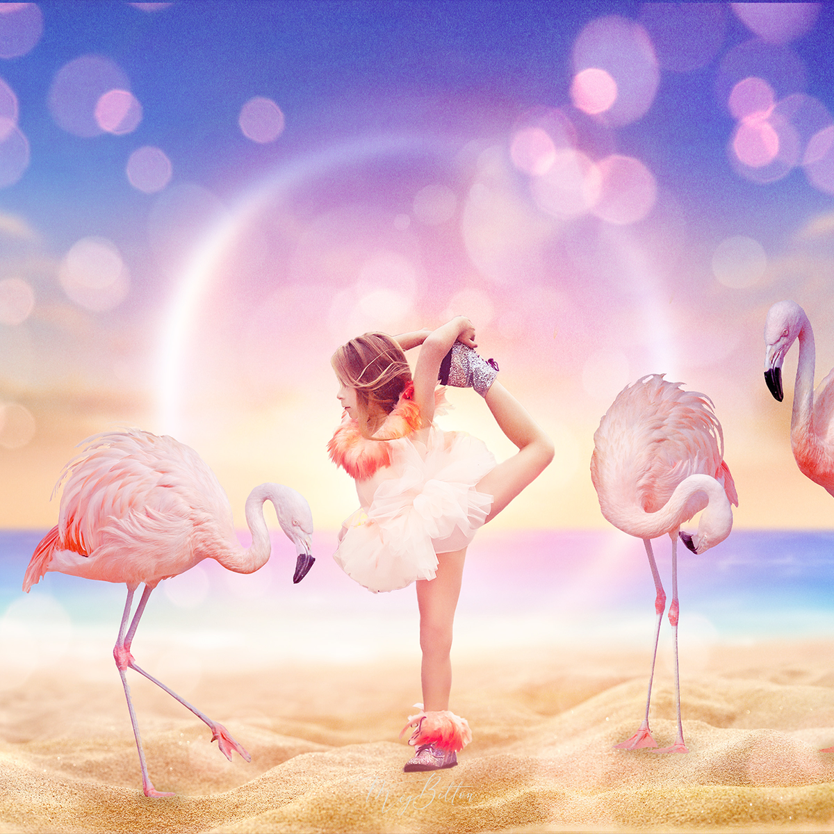 Flamingo Beach All in One Kit - Meg Bitton Productions