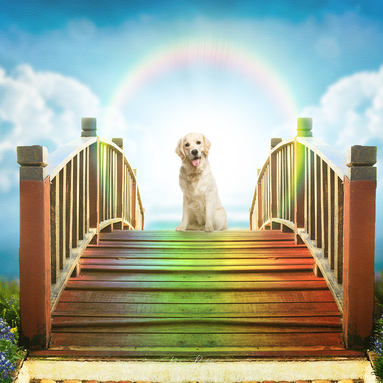 Digital Background: Rainbow Bridge - Meg Bitton Productions