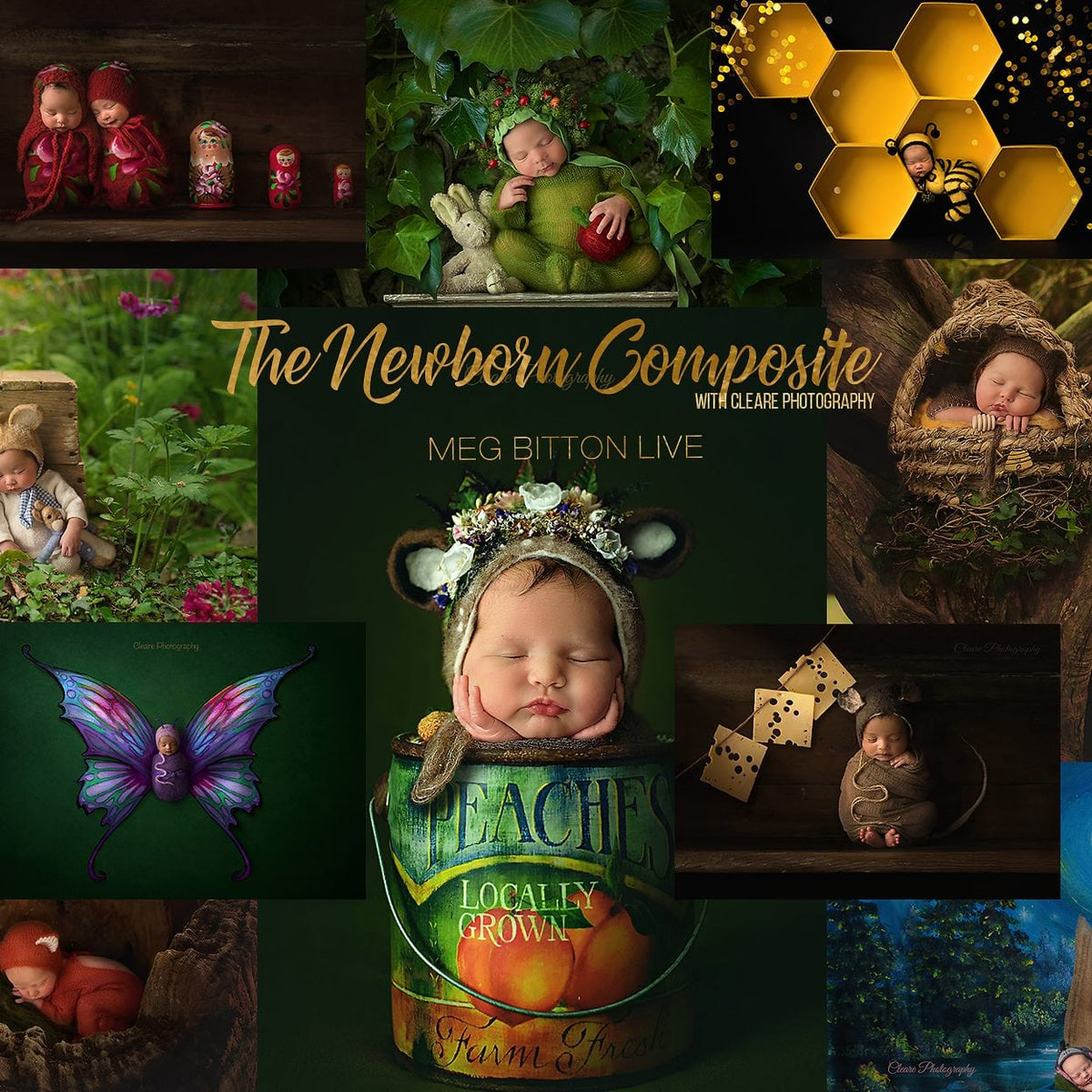 Newborn Composite Workshop - Meg Bitton Productions