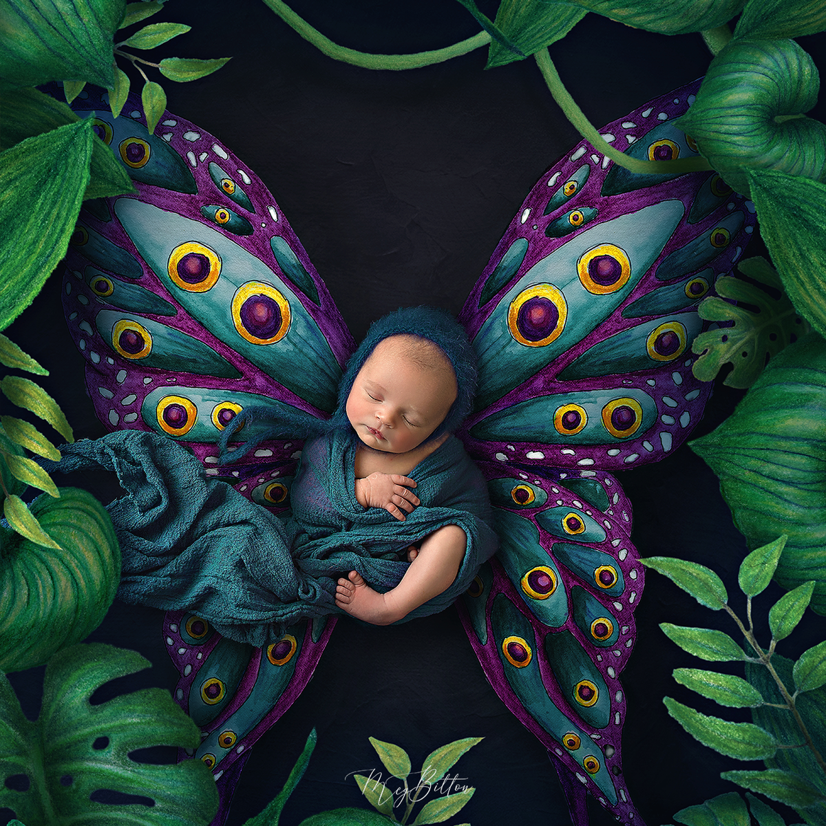 Digital Background: Peekaboo Butterfly - Meg Bitton Productions