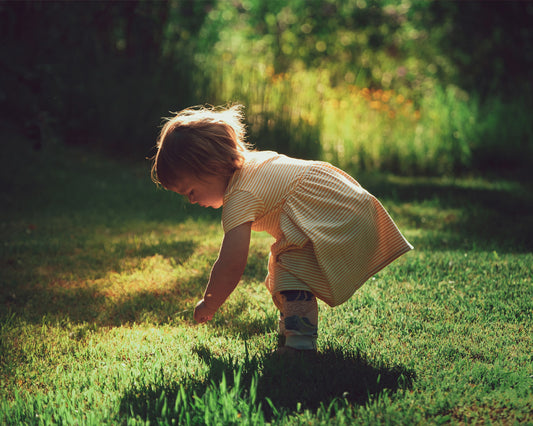 Picking Daisies - Meg Bitton Productions