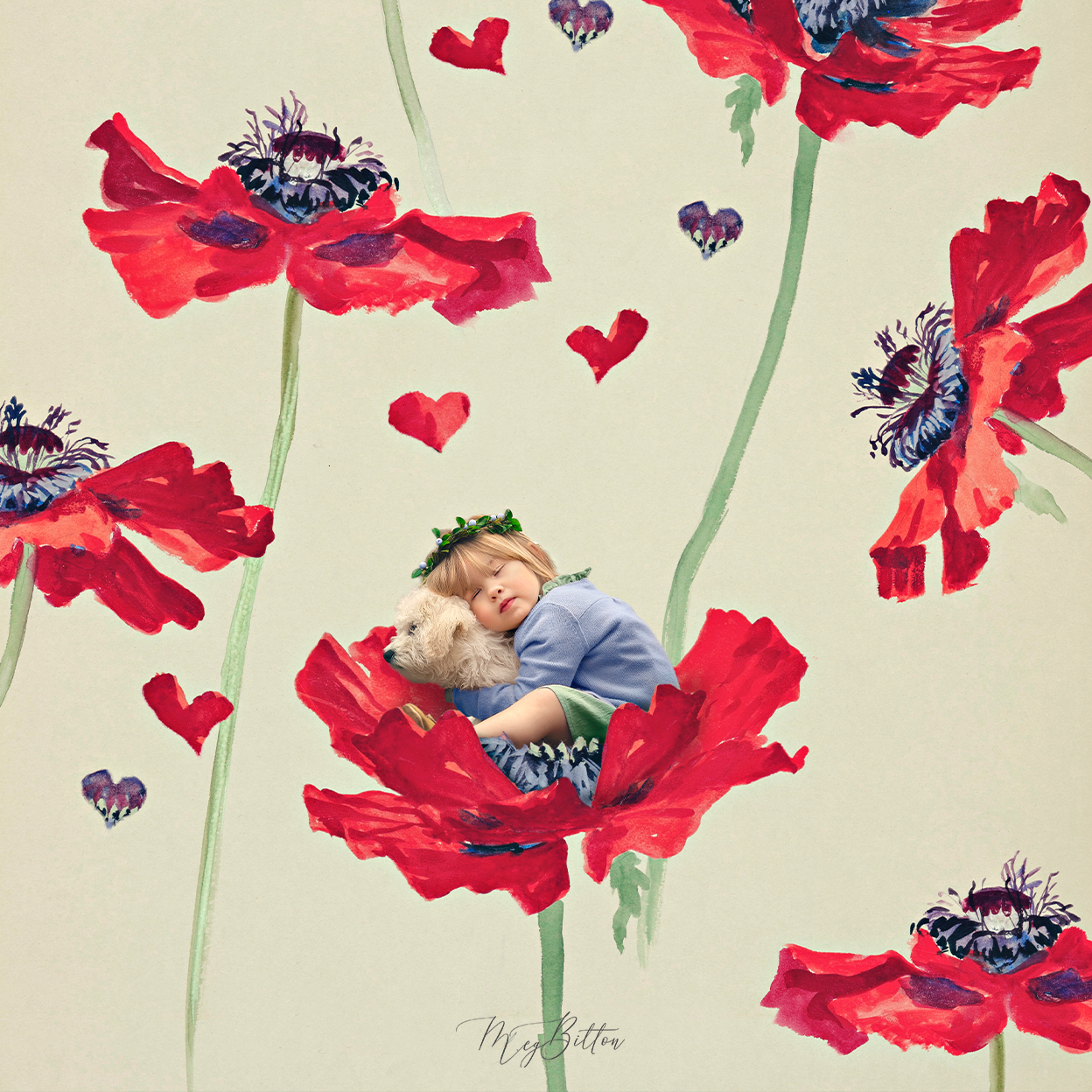Poppy Dreams Layered Digital Background - Meg Bitton Productions