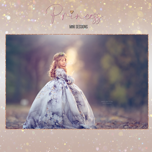 Princess Mini Sessions Marketing Template - Meg Bitton Productions